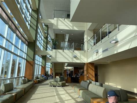 loyola scheduling phone number|loyola burr ridge phone number.